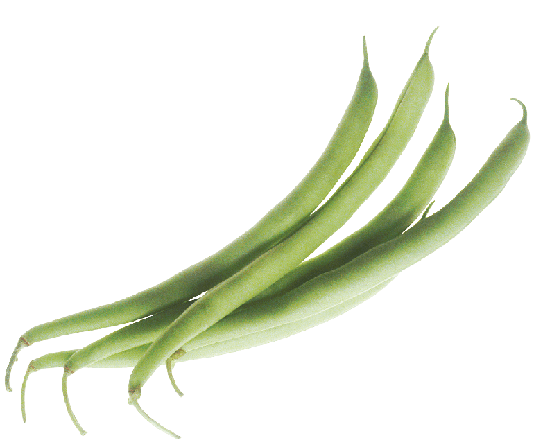 Green Beans Vegetable Transparent Png (gray)