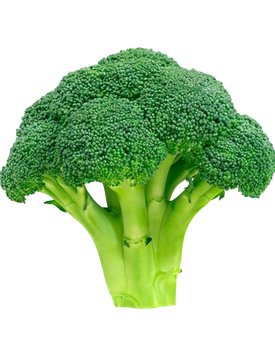 Green Broccoli Png Free Download (black, gray, olive, green)