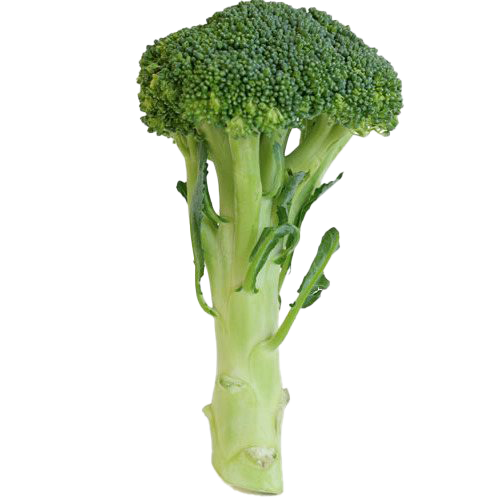 Green Broccoli Png Hd (white)