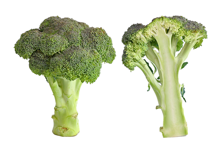 Green Broccoli Png Image (black, olive)