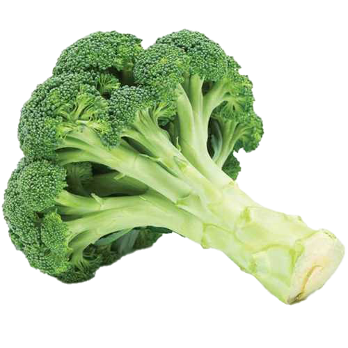 Green Broccoli Png Pic (beige, white, gray, olive, silver)