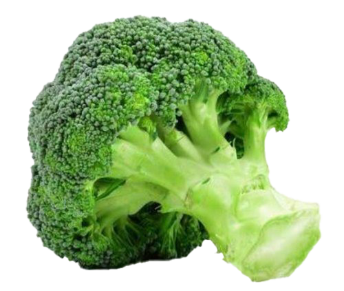 Green Broccoli Png Picture (black, white, beige, gray)