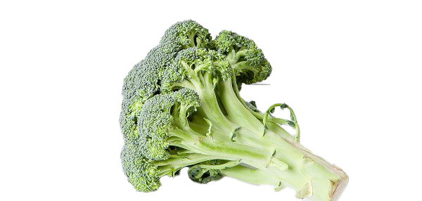 Green Broccoli Png Transparent Hd Photo (silver, white, beige, gray)