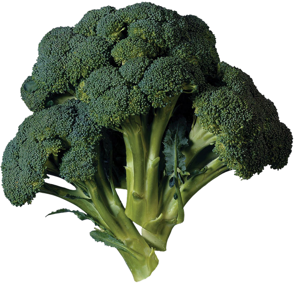 Green Broccoli Png Transparent Image (black)