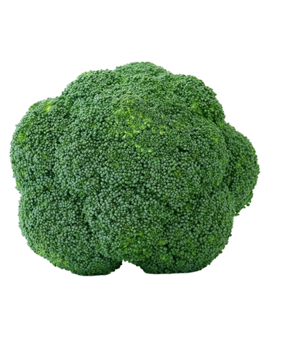 Green Broccoli Png Transparent Picture (black, green)