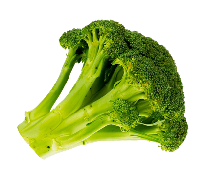 Green Broccoli Transparent Background (black, gold, olive)