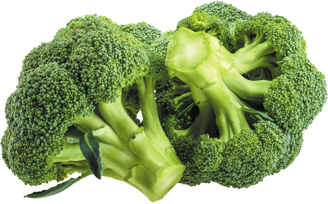 Green Broccoli Transparent Images Png (black, olive)