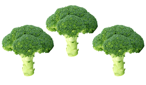 Green Broccoli Transparent Png (black, gray, olive, green)