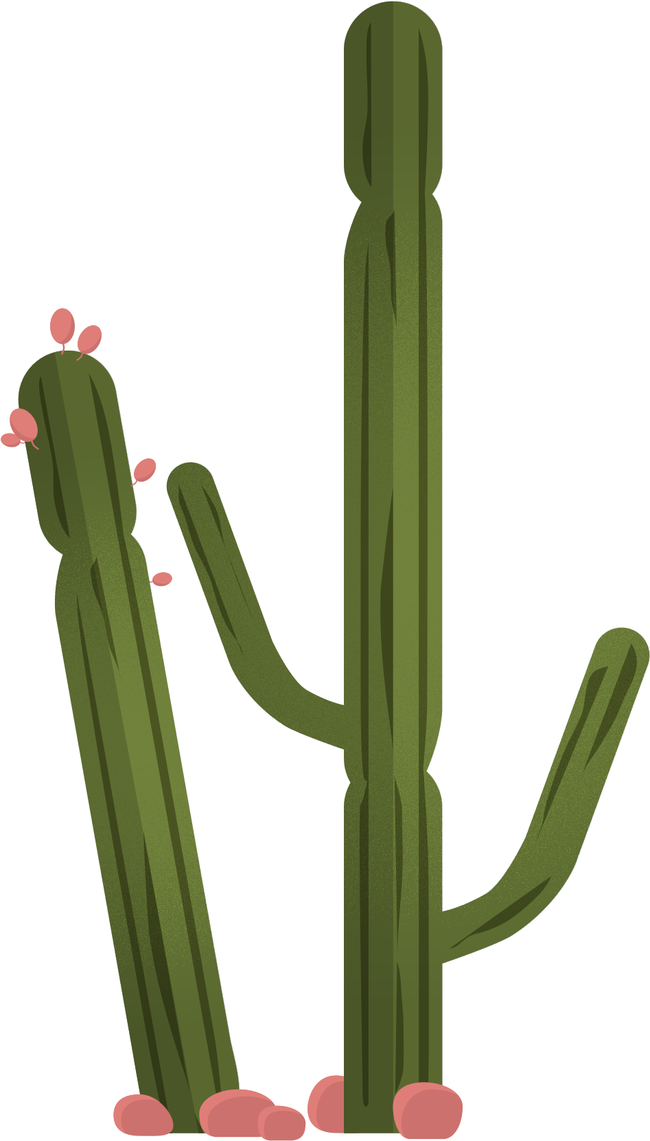 Green Cactus Plant Vector Png Clipart (black, olive)