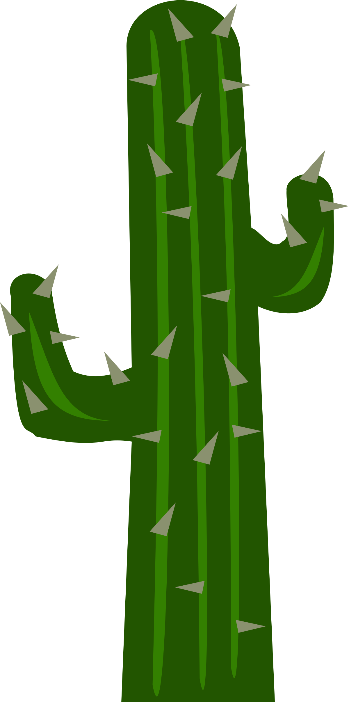 Green Cactus Plant Vector Png Photos (black, green)