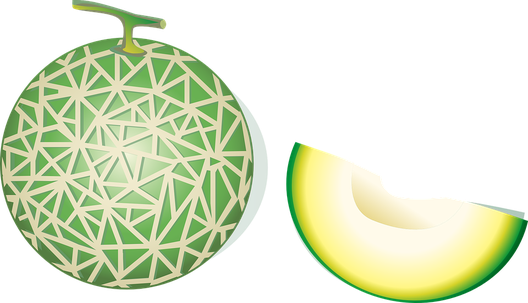 Green Cantaloupe Png File (black, beige)