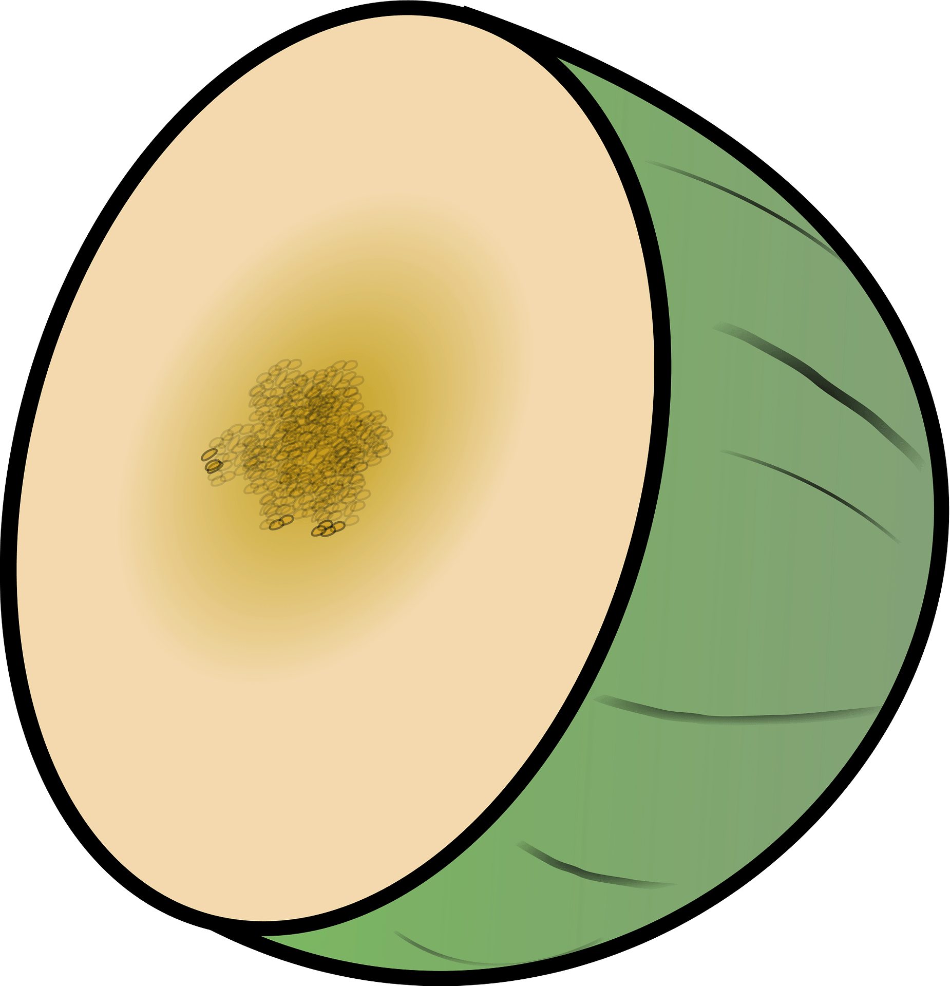 Green Cantaloupe Png Image (black, gray, pink)