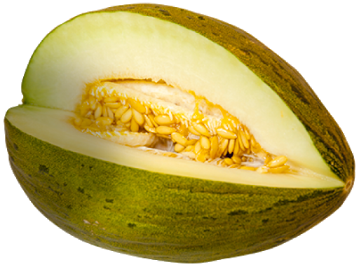 Green Cantaloupe Transparent Background (black, beige, olive)