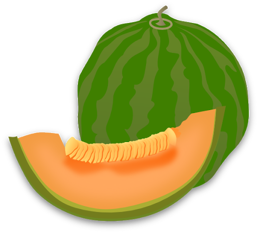 Green Cantaloupe Transparent Png (black, salmon, green)