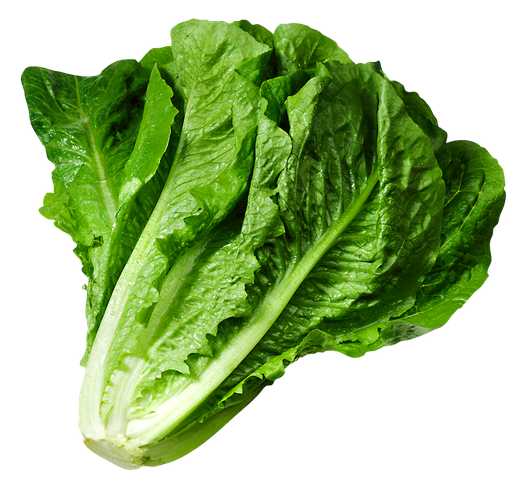 Green Celtuce Png Transparent Image (black, green)