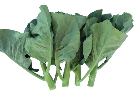 Green Chinese Spinach Png File (black, gray)