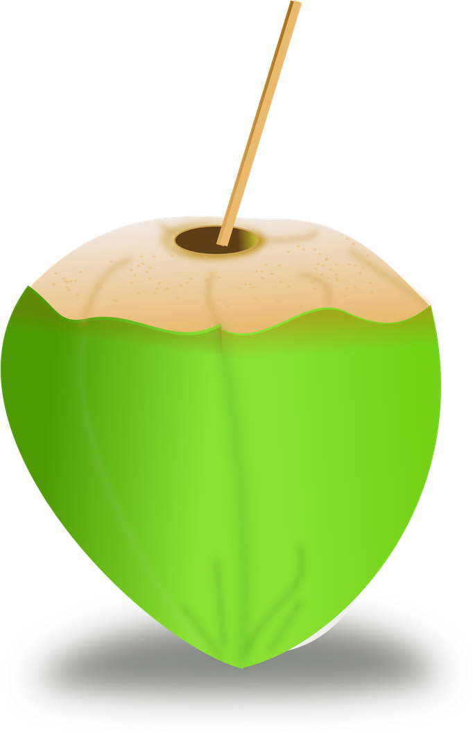 Green Coconut Png File (black, gray, olive)