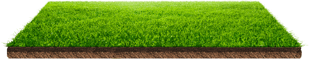 Green Field Png File (black, olive, maroon, gray)