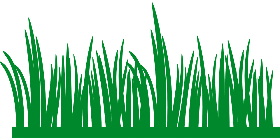 Green Field Png Image (black, green)