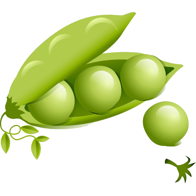 Green Food Transparent Background (olive, gray, white)