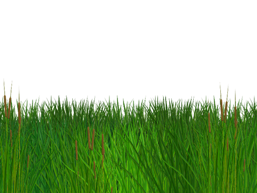 Green Grass Field Png Transparent Photo (black, green)