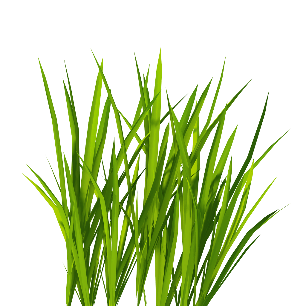 Green Grass Png Transparent Image (gray)