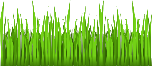 Green Grass Vector Transparent Png (black, olive)