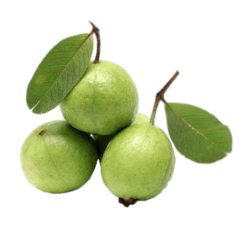 Green Guava Transparent Background (gray)