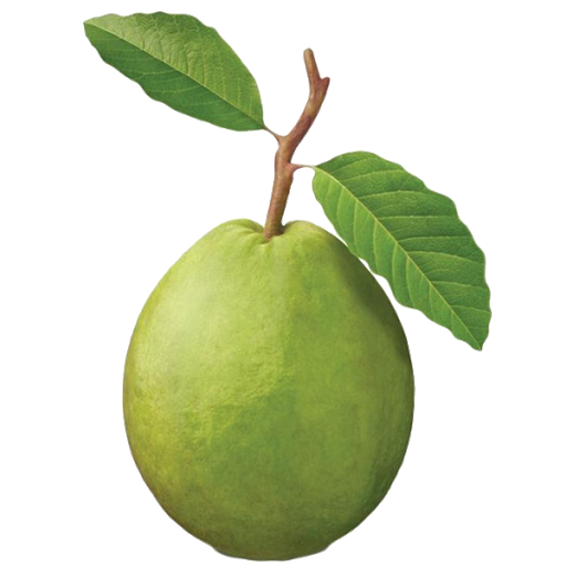 Green Guava Transparent Png (black, olive)