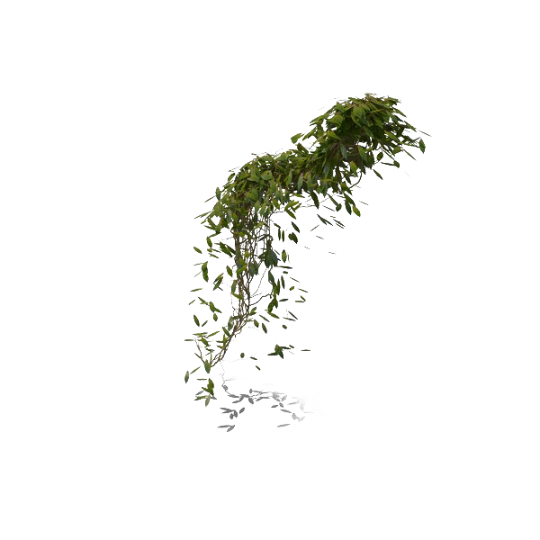 Green Leaves Ivy Hanging Png Pic (white, lavender)