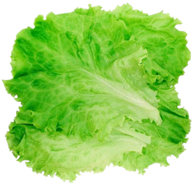 Green Lettuce Transparent Png (black, gray, olive)