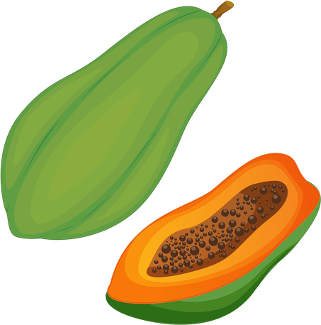 Green Papaya Png Photos (gray, olive, chocolate, black)