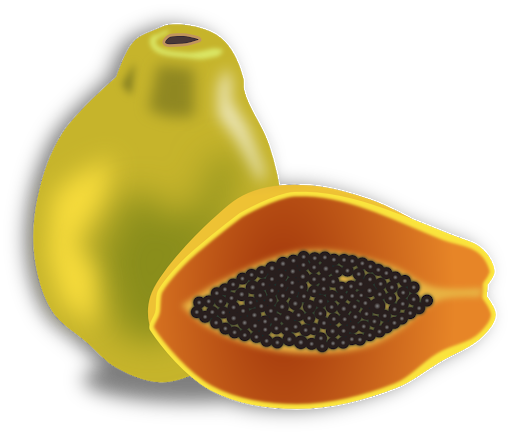 Green Papaya Png Pic (orange, olive, chocolate, black)