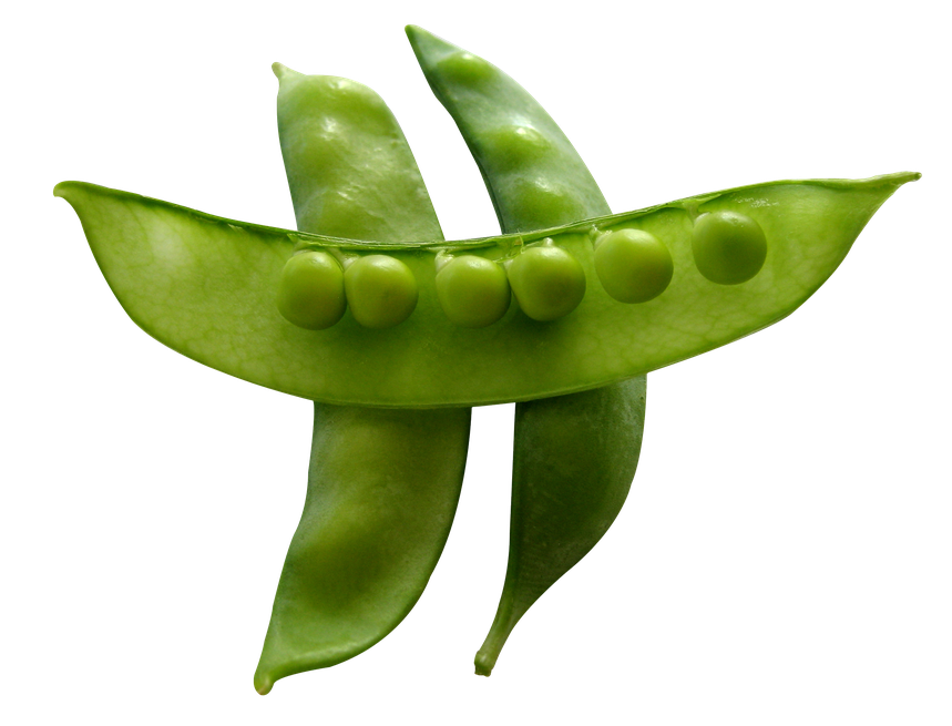 Green Pea Png Image (olive, green, black)