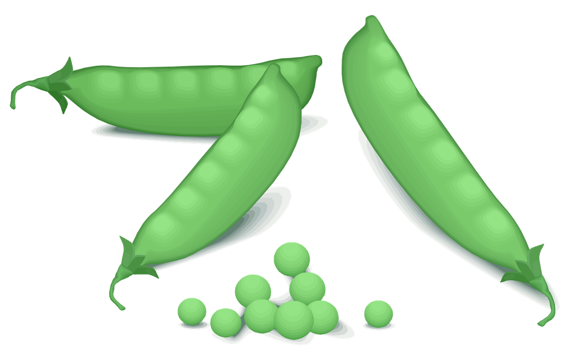 Green Pea Png Transparent Image (gray, silver, black)