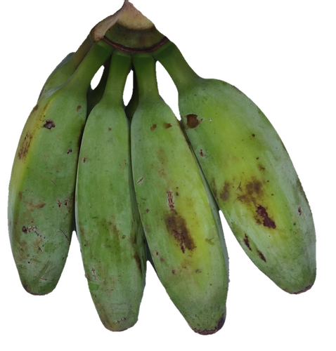 Green Plantain Png File (gray, black)