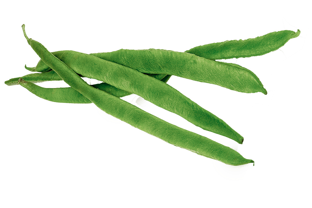 Green Bean Png Hd Isolated (gray)