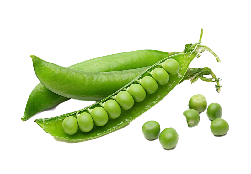 Green Bean Png Image (white)