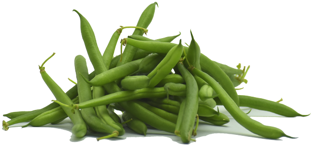 Green Bean Png Isolated Photos (black)