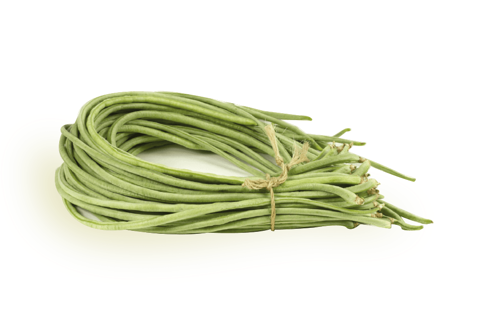 Green Long Beans Png File (gray, silver)