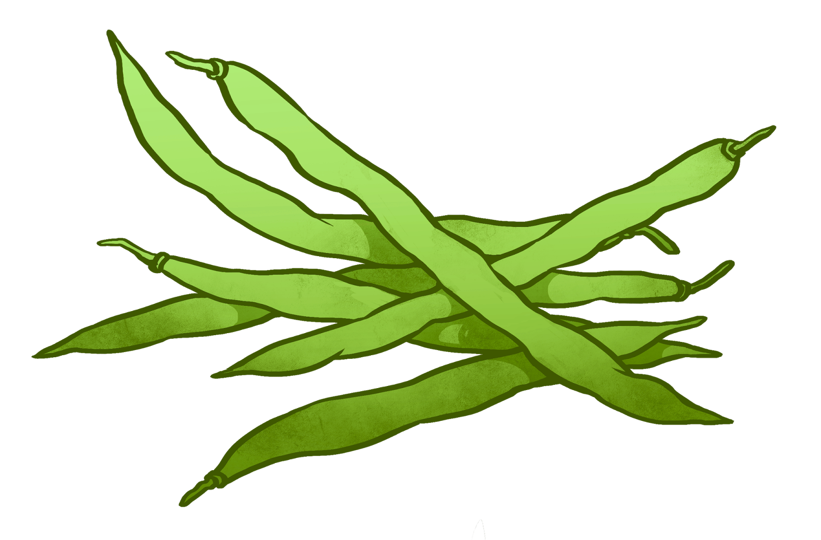 Green Long Beans Png Hd (gray)