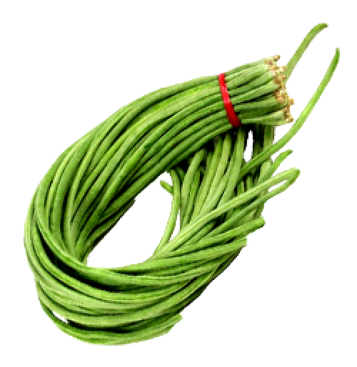 Green Long Beans Png Picture (black, olive, gray, white)