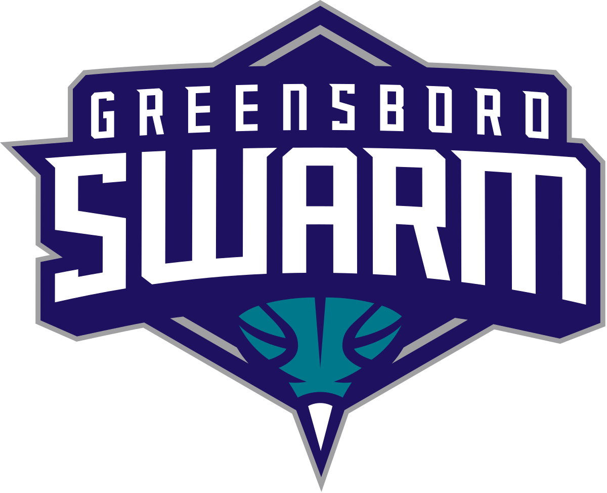 Greensboro Swarm Png (black, navy, white)