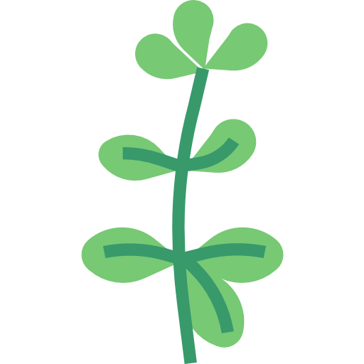 Oregano Png Image (white, gray, teal)