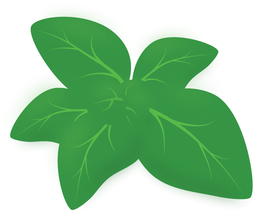 Oregano Png Picture (black, teal)