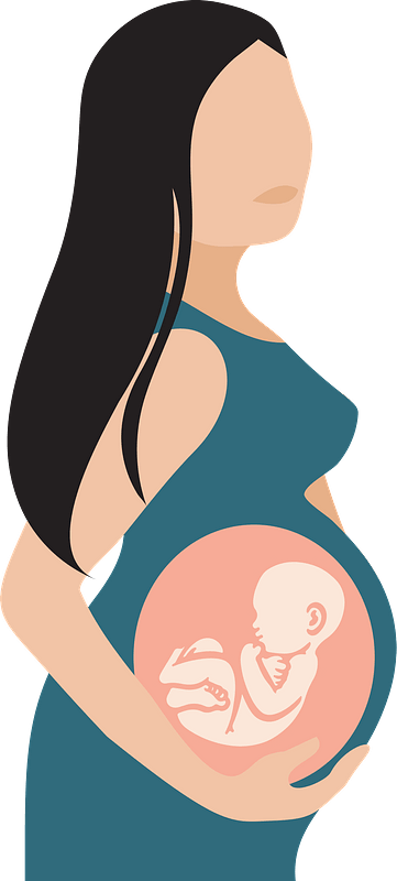 Pregnant Woman Cartoon Png (gray, pink, black, beige, teal)