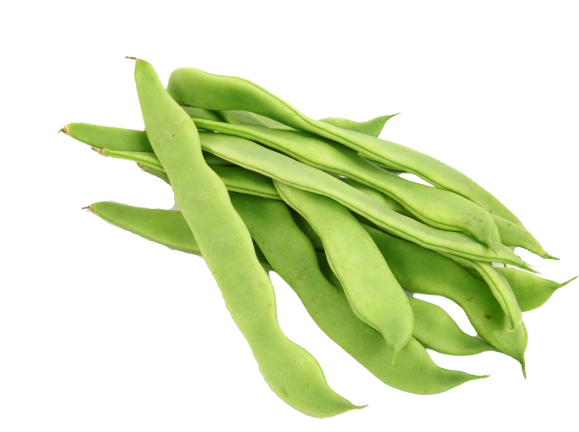 French Beans Png Isolated Image (black, gray, silver)