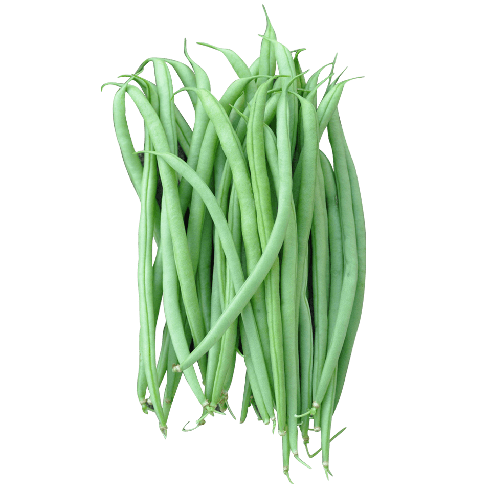 French Beans Png Isolated Photos (gray)