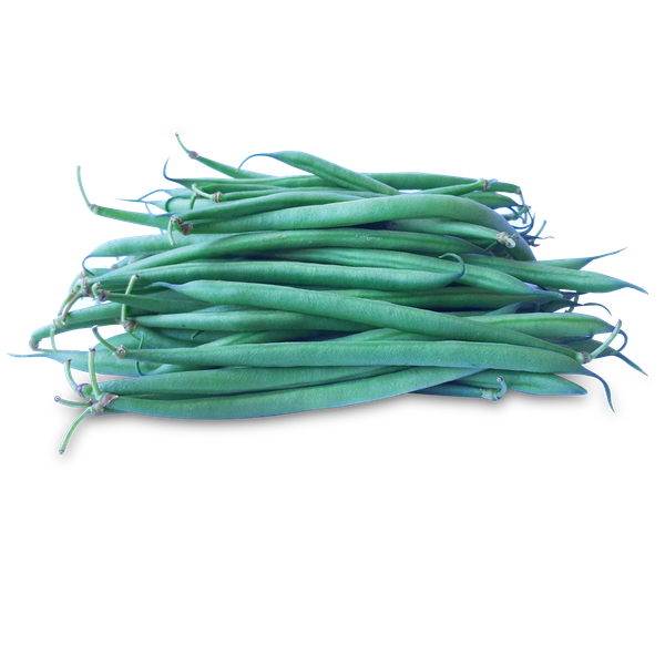 French Beans Png Isolated Pic (teal, black, gray, white)