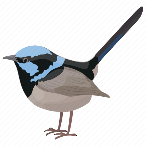 Wrens Png Photos (lavender, gray, silver, white)